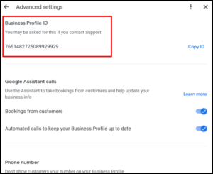 Google Business Profile ID