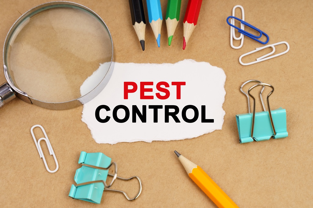 Best Pest Control Social Media Marketing Ideas